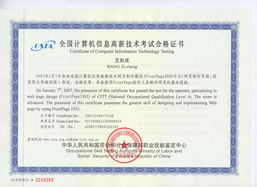 《網站組建與維護精品課 構建穩(wěn)固、高效的數字門戶》