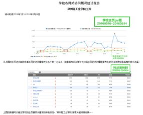 網(wǎng)站建設(shè)與維護(hù) 構(gòu)建數(shù)字門面并保障其長效運營
